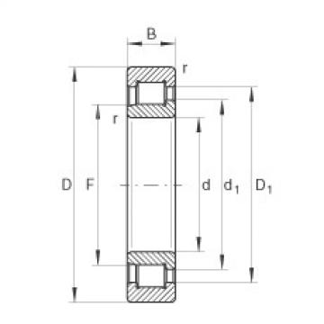 FAG Cylindrical roller Bearings - SL192305-XL