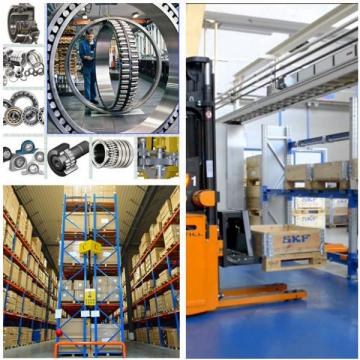  311WDD    top 5 Latest High Precision Bearings