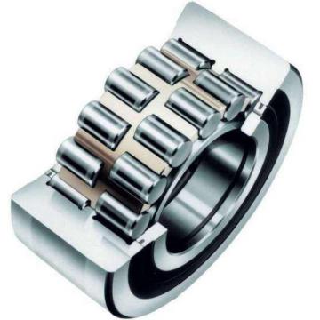 Double-row Cylindrical Rroller Bearings NSKNN3920