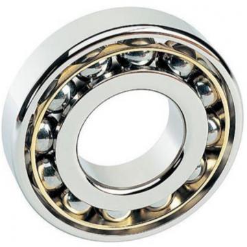 6011ZNRC3, Single Row Radial Ball Bearing - Single Shielded w/ Snap Ring