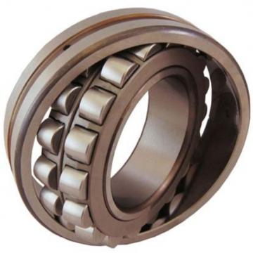 SKF NN 3016 TN/SP Cylindrical Roller Bearings