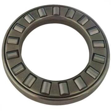 SKF NJ 215 ECML/C3 Cylindrical Roller Bearings