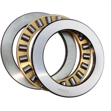 SKF NUP 205 ECP/C3 Cylindrical Roller Bearings
