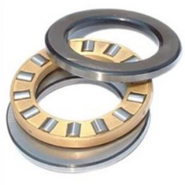Spherical Thrust Roller Bearings NSK29252
