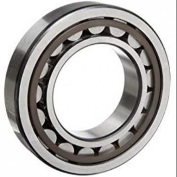 Single Row Cylindrical Roller Bearing NU3164M