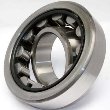 TPS Cylindrical Roller Bearing 20TPS104