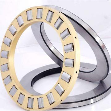INA NA4900RS Needle Non Thrust Roller Bearings