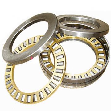 INA SL045006 Cylindrical Roller Bearings