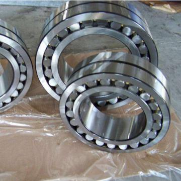 Double Row Cylindrical Bearings NN3021