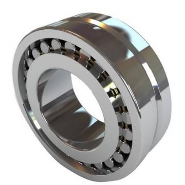 Full-complement Fylindrical Roller BearingRS-5034