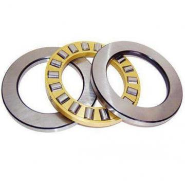 INA SL06016E C3 Cylindrical Roller Bearings