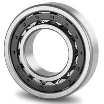 TPS Cylindrical Roller Bearing 40TPS114