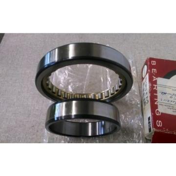 CONSOLIDATED FAG BEARING 65MM X 100MM X 18MM NU-1013 M P/5, NU1013 Bearings