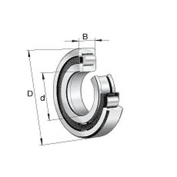 NUP2228E.M1.C3 FAG Cylindrical Roller Bearing Single Row