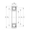FAG Cylindrical roller Bearings - SL181844 #1 small image