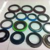 460X500X20 HDS2K R1 Oil Seals Timken & CHICAGO RAWHIDE #1 small image