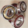 5206NR, Double Row Angular Contact Ball Bearing - Open Type w/ Snap Ring