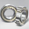 Single Row Cylindrical Roller Bearing NF2224EM