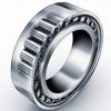Single Row Cylindrical Roller Bearing NF2224EM