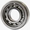 Single Row Cylindrical Roller Bearing NU2838M