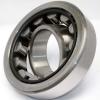 Distributor SL Type Cylindrical Roller Bearings For Sheaves NTNSL04-5022NR #4 small image