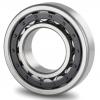 TPS Cylindrical Roller Bearing 100TPS144 #2 small image