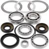 All Balls 25-2094 Differential Bearing and Seal Kit Rear See Fit #1 small image