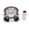 Fit 96-04 Nissan Frontier Pathfinder 3.3L Full Gasket Piston&amp;Bearing&amp;Ring VG33E #5 small image