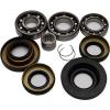 All Balls 25-2047 Differential Bearing and Seal Kit Rear See Fit #1 small image