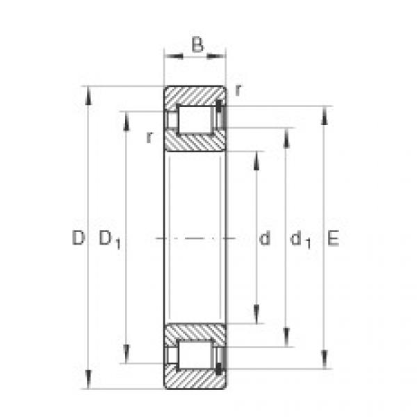 FAG Cylindrical roller Bearings - SL1818/800-E-TB #1 image