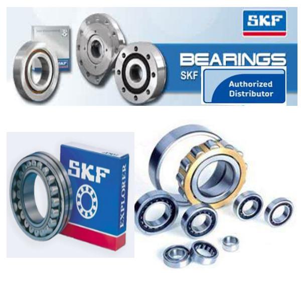 SKF  Bearings Distributor #2 image