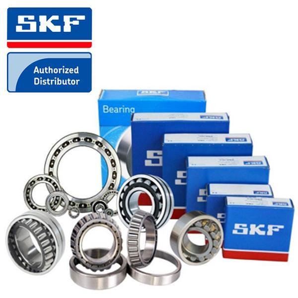 SKF  Bearings Distributor #1 image