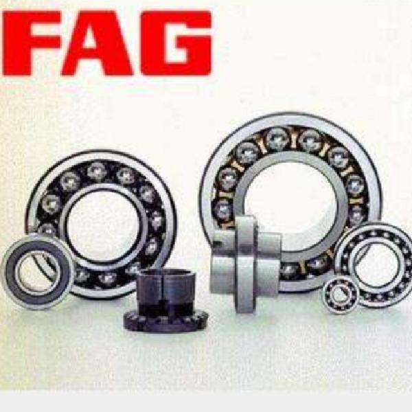 FAG 6004.2RSR 2/pkg 13/16&#034;ID x 1-5/8&#034;OD Roller Bearing #1 image