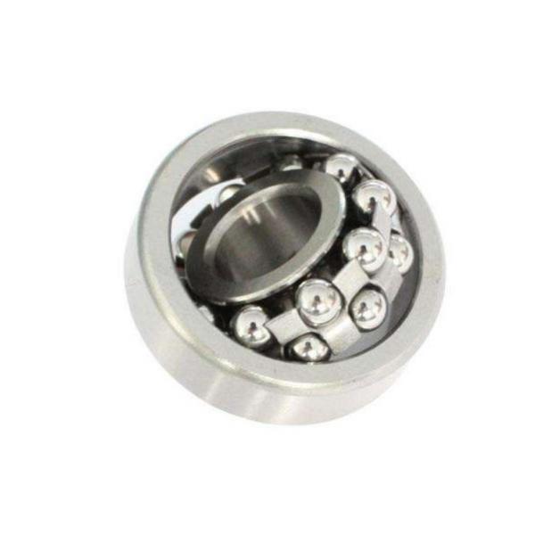 Slewing Bearing Ball Bearings NSKBT220-3 DB #3 image