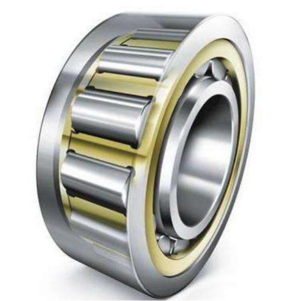 Single Row Cylindrical Roller Bearing NF19/600 #2 image