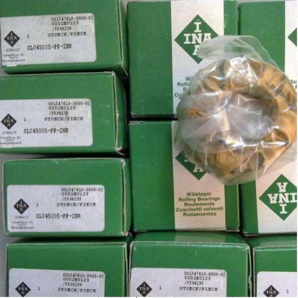 INA SCH2213PS387 AA100 Roller Bearings #1 image