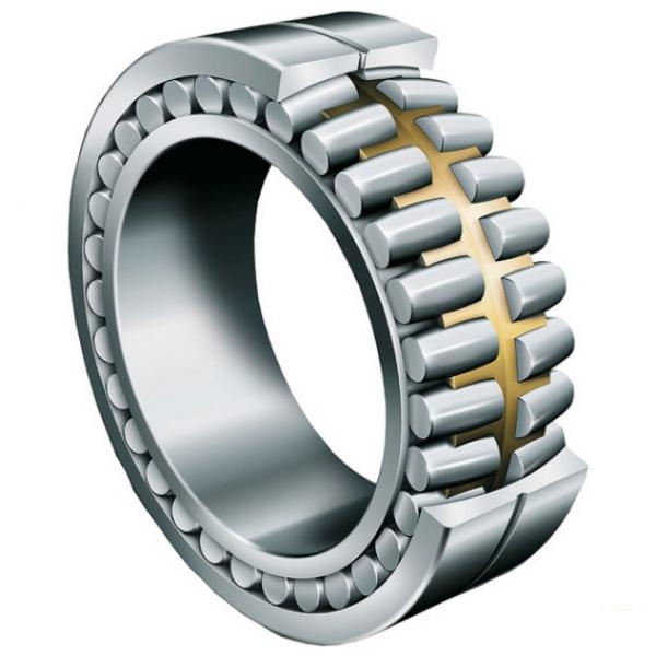 Distributor SL Type Cylindrical Roller Bearings For Sheaves NTNSL04-5044NR #2 image