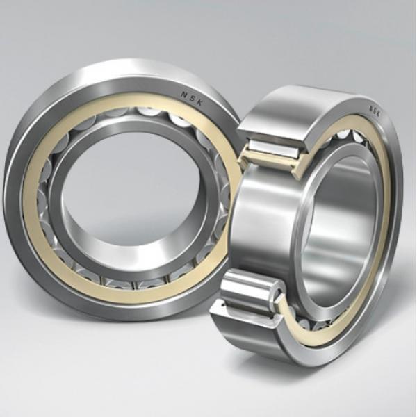 Single Row Cylindrical Roller Bearing NF19/600 #3 image