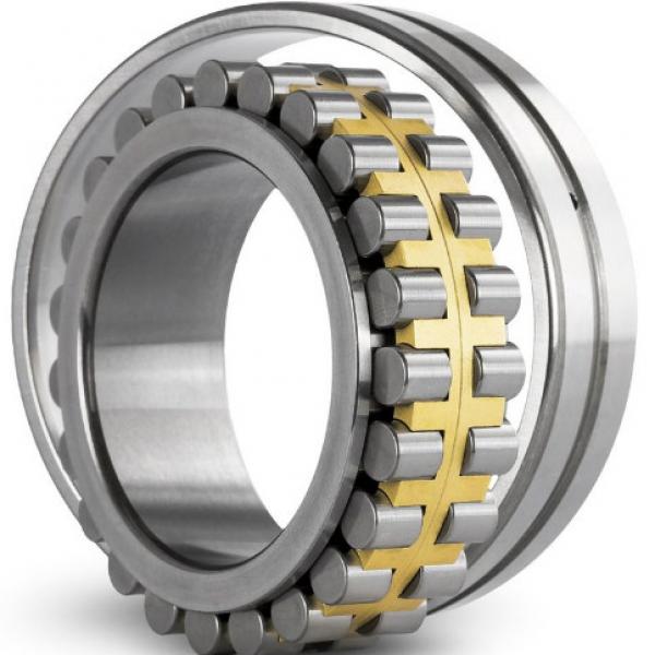 Distributor SL Type Cylindrical Roller Bearings For Sheaves NTNSL04-5024NR #4 image