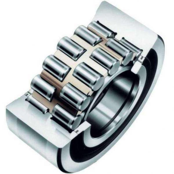 Double-row Cylindrical Rroller Bearings NSKNN3021 #2 image