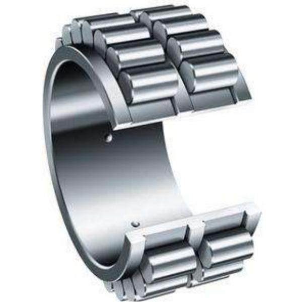 Full-complement Fylindrical Roller BearingRS-48/500E4 #4 image