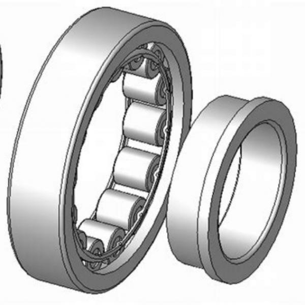 Distributor SL Type Cylindrical Roller Bearings For Sheaves NTNSL04-5020NR #1 image