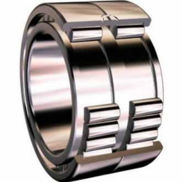 Full-complement Fylindrical Roller BearingRS-4824E4 #1 image