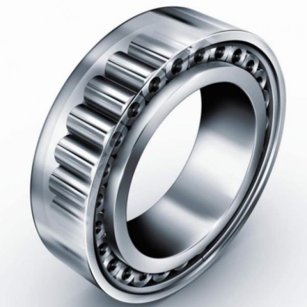Distributor SL Type Cylindrical Roller Bearings For Sheaves NTNSL04-5020NR #3 image