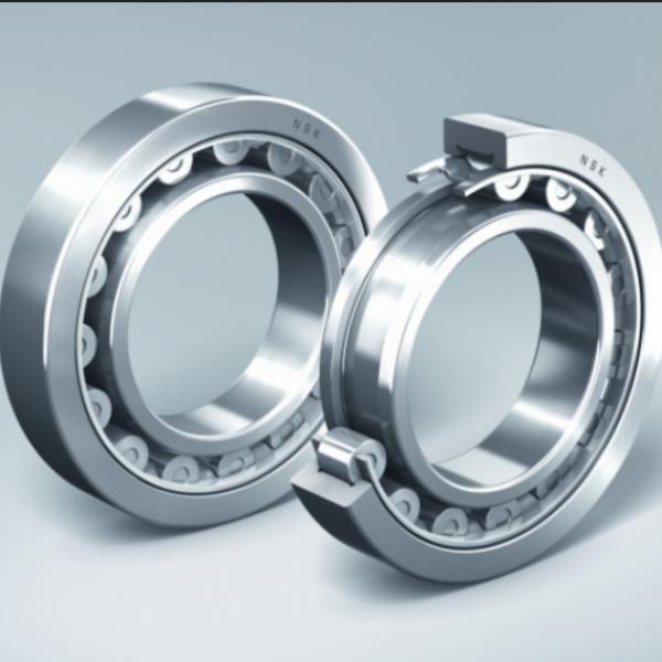 Distributor SL Type Cylindrical Roller Bearings For Sheaves NTNSL04-5064NR #2 image