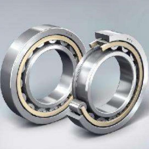 Full-complement Fylindrical Roller BearingRS-49/530E4 #4 image