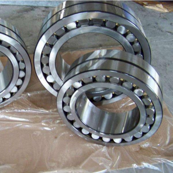 Double Row Cylindrical Bearings NNUP4956 #2 image