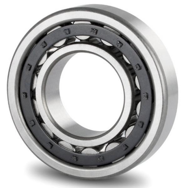 TPS Cylindrical Roller Bearing 120TPS151 #1 image