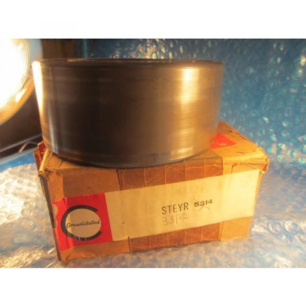 Steyr 3314, 5314 Single Row Cylindrical Bearing  (SKF,FAG) #5 image